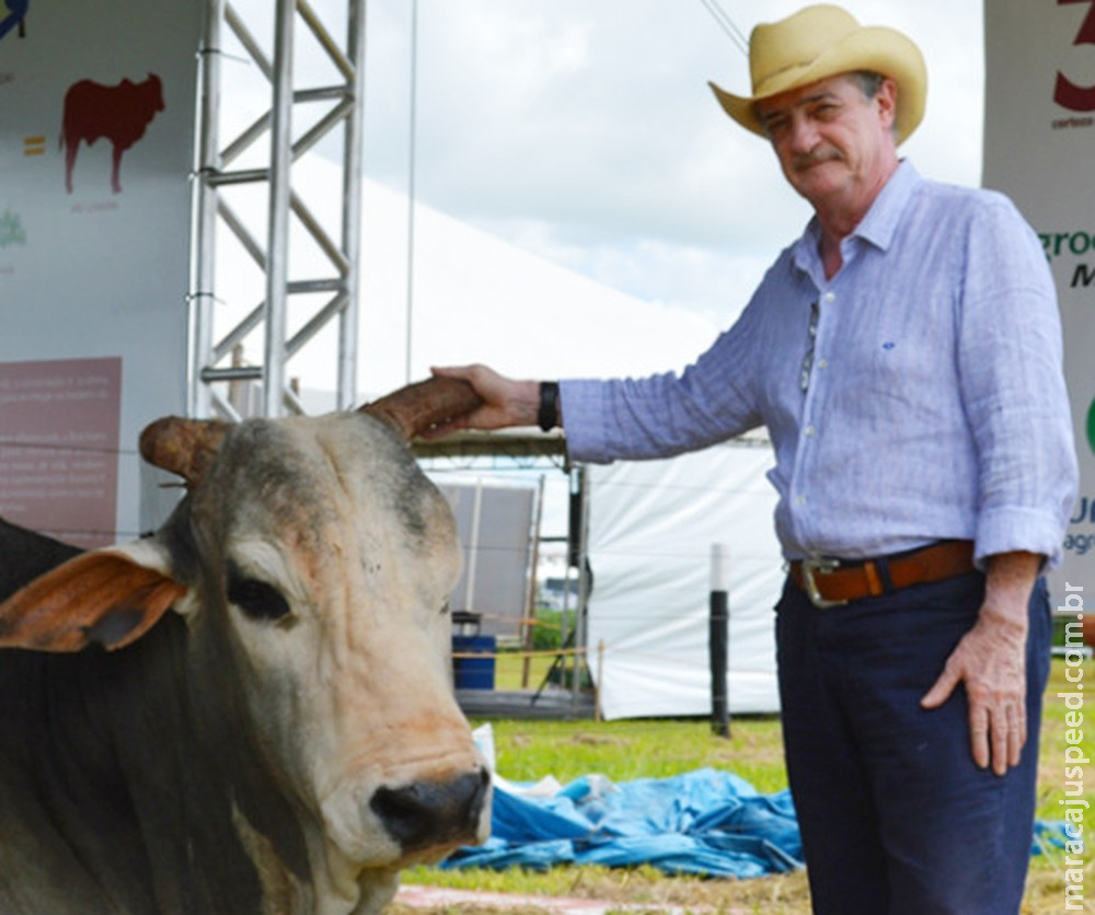 Morre Rubens Catenacci, pecuarista de MS referência na produção de bezerros de qualidade