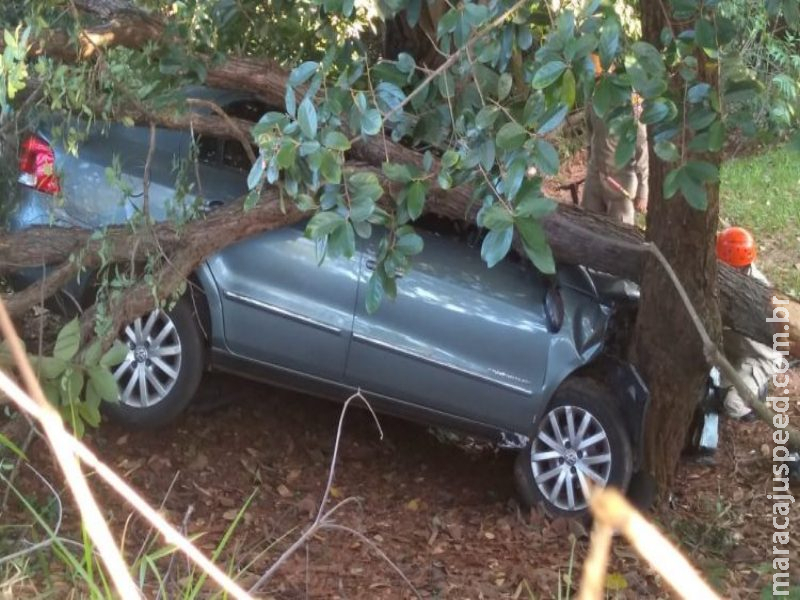 Motorista vai coçar olho, perde controle, cai em barranco e bate em árvore Motorista vai coçar olho, perde controle, cai em barranco e bate em árvore