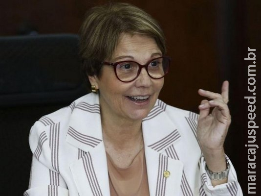 Ninguém passa fome porque “têm mangas nas cidades”, declara Tereza Cristina Ninguém passa fome porque “têm mangas nas cidades”, declara Tereza Cristina