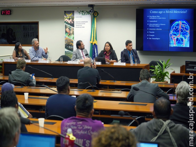 Pesquisadores e indígenas denunciam danos do garimpo ilegal à saúde humana Pesquisadores e indígenas denunciam danos do garimpo ilegal à saúde humana