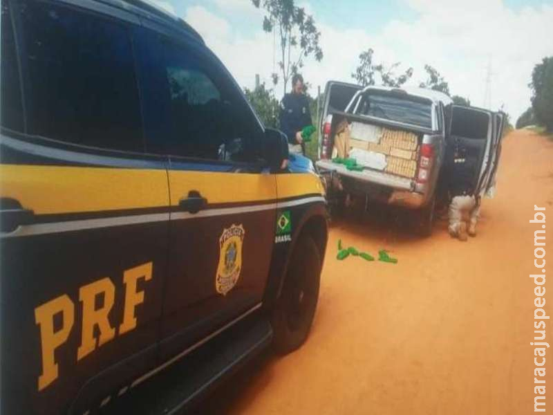 Polícia apreende mais de 1t de maconha em veículo furtado