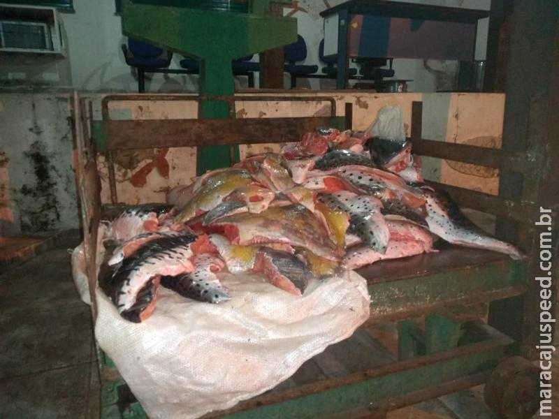 Polícia Militar Ambiental apreende 97 kg de pescado ilegal, barco e motor de popa no rio Paraguai Polícia Militar Ambiental apreende 97 kg de pescado ilegal, barco e motor de popa no rio Paraguai