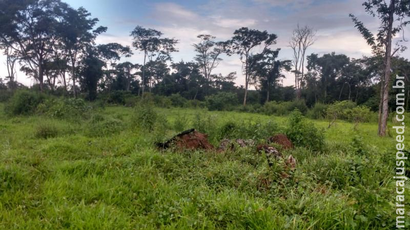 Polícia Militar Ambiental autua dois infratores em R$ 12 mil por cinco áreas de desmatamentos ilegais Polícia Militar Ambiental autua dois infratores em R$ 12 mil por cinco áreas de desmatamentos ilegais