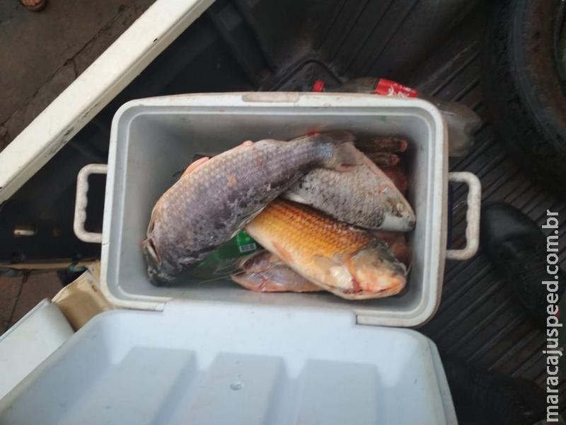 Polícia Militar Ambiental autua homem de 43 anos por transporte de pescado ilegal Polícia Militar Ambiental autua homem de 43 anos por transporte de pescado ilegal