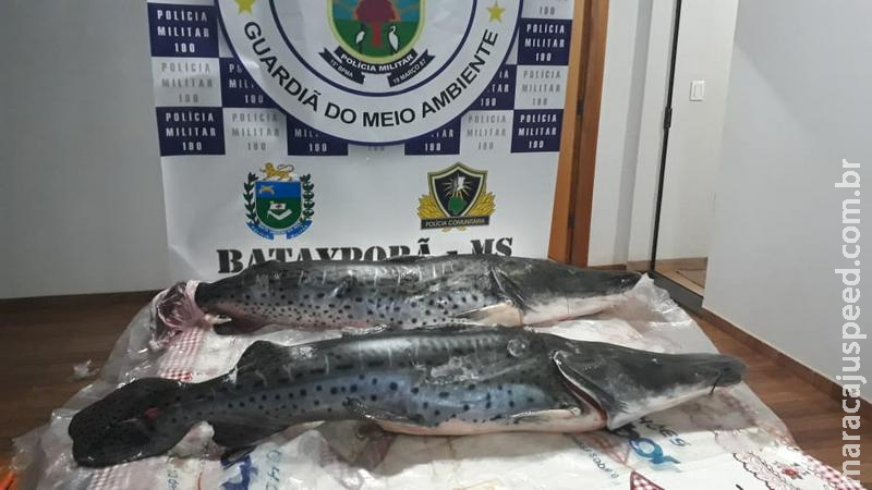 Polícia Militar Ambiental autua homem de 53 anos em R$ 1,2 mil por transporte de 27 kg de pescado ilegal