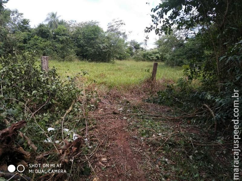 Polícia Militar Ambiental autua infrator em R$ 5 mil por exploração de madeira em área protegida de reserva legal