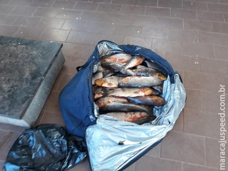 Polícia Militar Ambiental autua paulista em R$ 1,7 mil por pesca acima da cota permitida Polícia Militar Ambiental autua paulista em R$ 1,7 mil por pesca acima da cota permitida