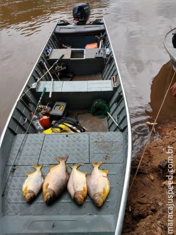 Polícia Militar Ambiental autua paulista por pesca predatória ao capturar peixes fora da medida permitida Polícia Militar Ambiental autua paulista por pesca predatória ao capturar peixes fora da medida permitida