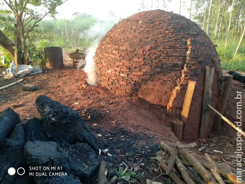 Polícia Militar Ambiental fecha carvoaria ilegal e apreende carvão e madeira Polícia Militar Ambiental fecha carvoaria ilegal e apreende carvão e madeira