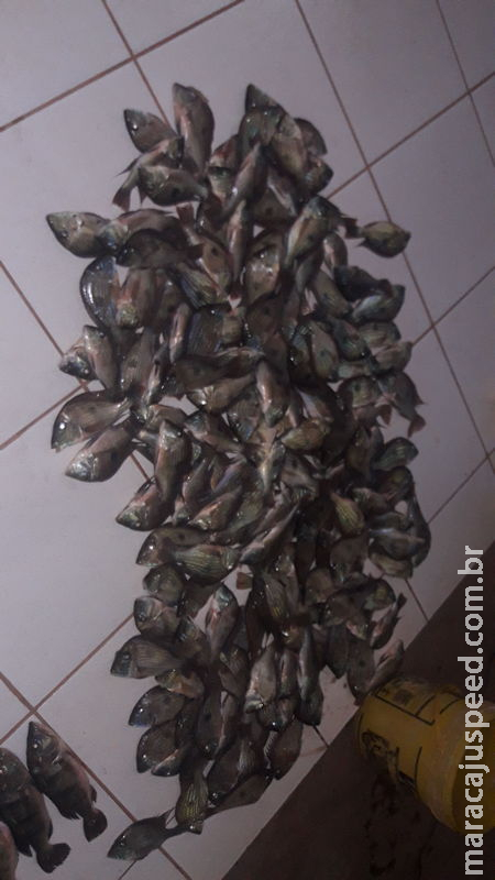 Polícia Militar Ambiental prende e autua dois pescadores em R$ 3 mil por capturar 46 kg de pescado com 700 metros de petrecho ilegal do tipo rede Polícia Militar Ambiental prende e autua dois pescadores em R$ 3 mil por capturar 46 kg de pescado com 700 metros de petrecho ilegal do tipo rede