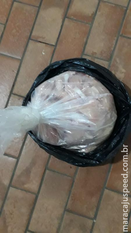Polícia Militar prende motociclista que tenta fugir de barreira por estar transportando pescado ilegal Polícia Militar prende motociclista que tenta fugir de barreira por estar transportando pescado ilegal