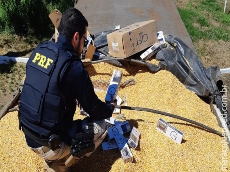 PRF apreende 250 mil maços de cigarros escondidos sob carga de milho PRF apreende 250 mil maços de cigarros escondidos sob carga de milho