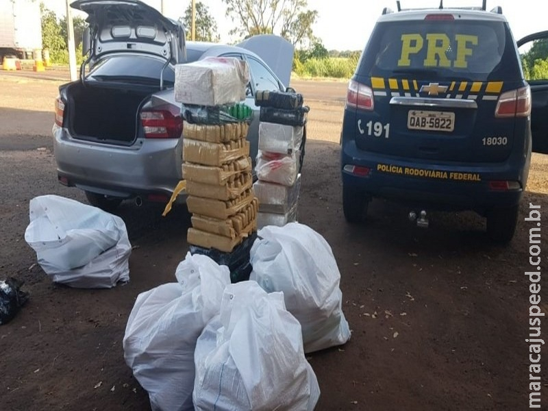 PRF apreende 384 kg de maconha em carro roubado