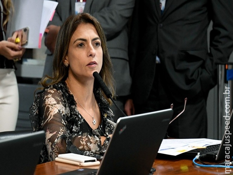 Proibição da venda de cães e gatos nas ruas é aprovada na CMA Proibição da venda de cães e gatos nas ruas é aprovada na CMA