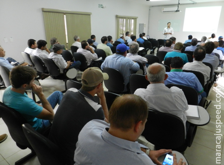 Maracaju: Resultados de pesquisas trazem ferramentas para potencializar produtividade da soja em MS Maracaju: Resultados de pesquisas trazem ferramentas para potencializar produtividade da soja em MS