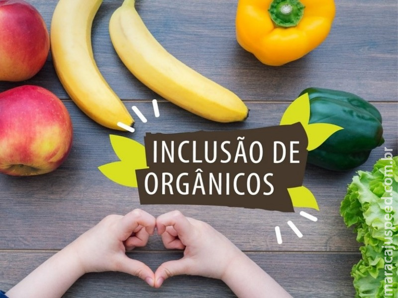 Tereza Cristina quer que alimentos orgânicos cheguem à merenda escolar Tereza Cristina quer que alimentos orgânicos cheguem à merenda escolar