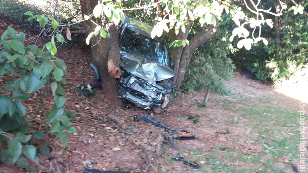 Vendedor de bebidas bate carro em poste, derruba árvores e quase cai em córrego: 