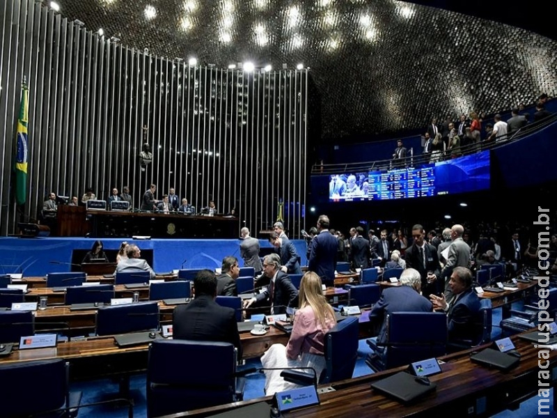 Aprovada garantia de vaga em escola para filhos de vítimas de violência doméstica