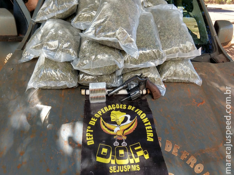 Arma de fogo, munições e droga que seguiam em veículo para Brasília foram apreendidos pelo DOF na região de Maracaju Arma de fogo, munições e droga que seguiam em veículo para Brasília foram apreendidos pelo DOF na região de Maracaju