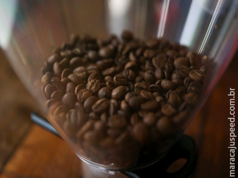 Conab prevê que país colherá 50,92 milhões de sacas de café neste ano