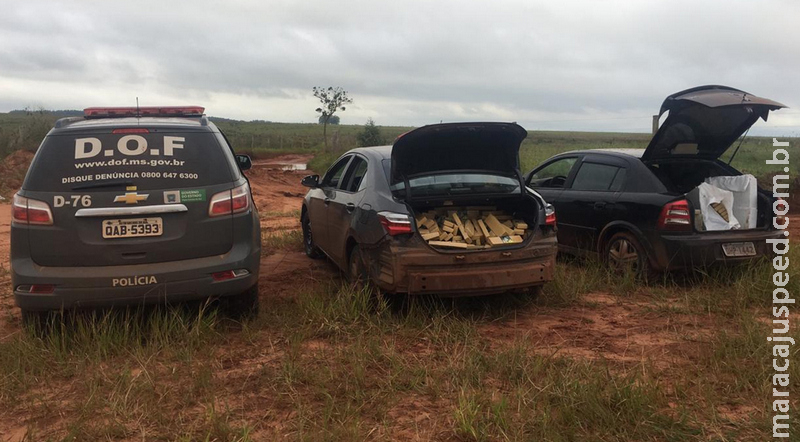 Dois veículos carregados com quase 700 Kg de droga que seguiam para o Rio Grande do Sul foram apreendidos pelo DOF Dois veículos carregados com quase 700 Kg de droga que seguiam para o Rio Grande do Sul foram apreendidos pelo DOF