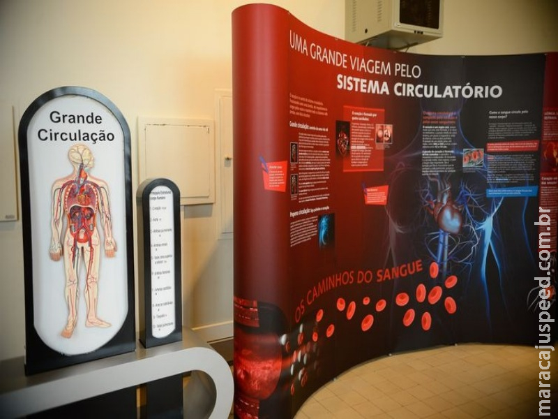 Estudo indica caminho para tratamento de pacientes com arritmia Estudo indica caminho para tratamento de pacientes com arritmia