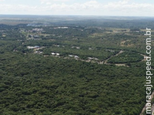 Governo faz pedido urgente ao TJ para liberar desmatamento no parque