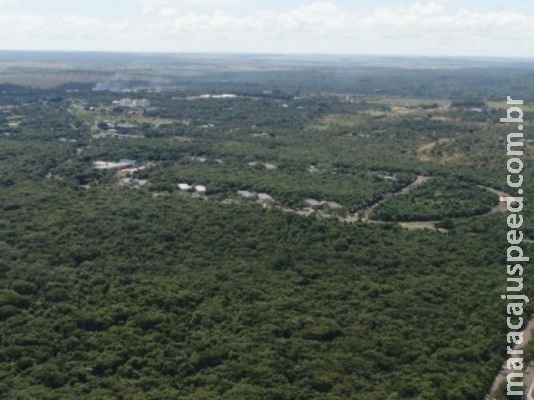 Governo faz pedido urgente ao TJ para liberar desmatamento no parque Governo faz pedido urgente ao TJ para liberar desmatamento no parque