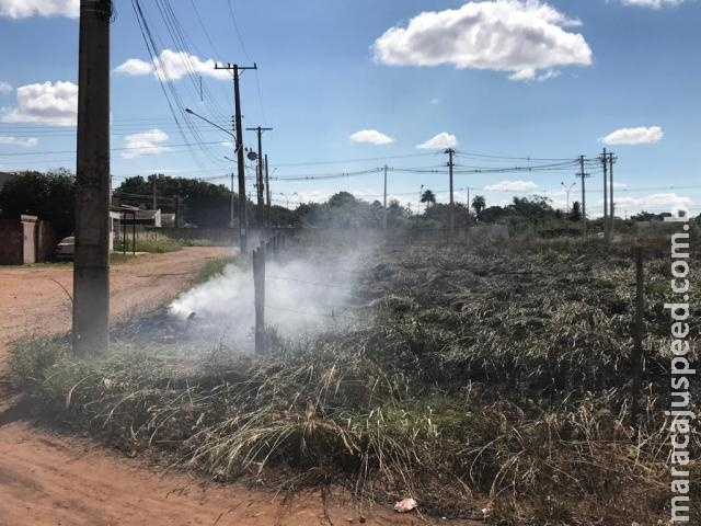 Incêndio consome matagal em terreno baldio e causa transtorno a vizinhos Incêndio consome matagal em terreno baldio e causa transtorno a vizinhos