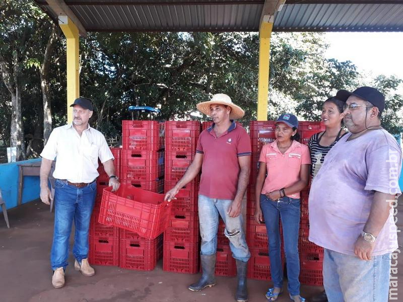 Maracaju: Departamento Agropecuário Municipal entrega caixas para auxiliar no transporte de produtos da merenda escolar