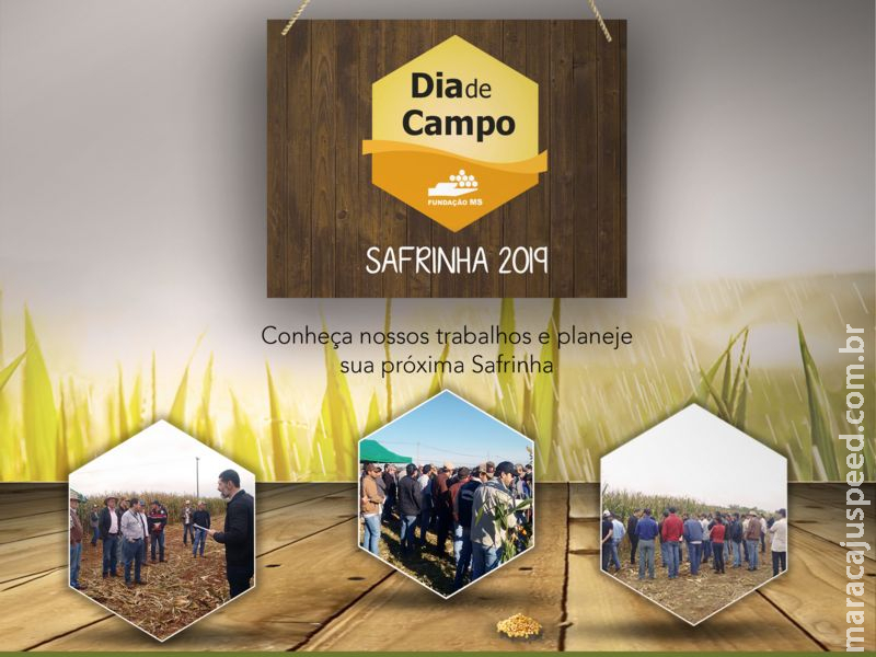 Maracaju: Dia de Campo Safrinha 2019 – Fundação MS