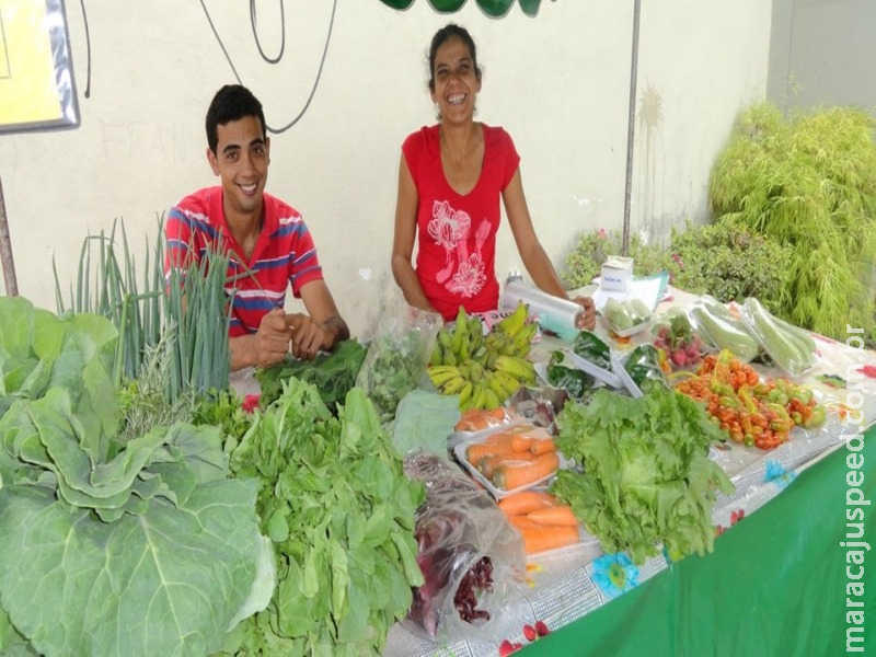 Mercado brasileiro de orgânicos fatura R$ 4 bilhões