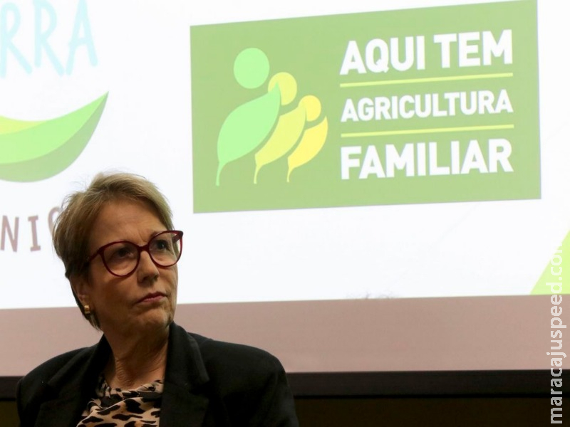 Ministério lança 15ª campanha em favor de alimentos orgânicos
