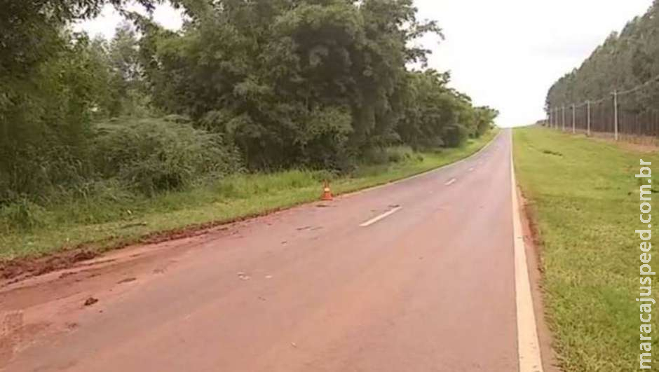 Morre idoso que recebeu duas mil picadas de abelhas Morre idoso que recebeu duas mil picadas de abelhas
