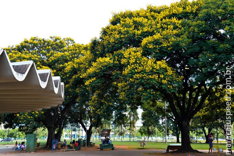 Natureza beneficia bem-estar e saúde da população, mostra pesquisa Natureza beneficia bem-estar e saúde da população, mostra pesquisa
