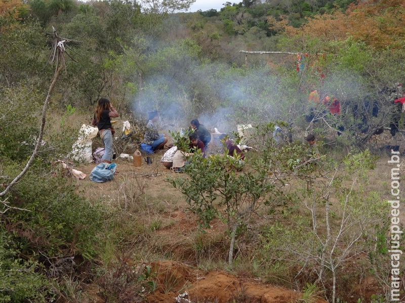 Parecer caracteriza ataques a indígenas ocorridos na região sul de MS como crimes contra a humanidade