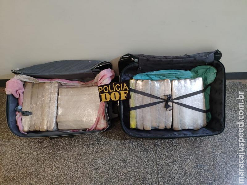 Passageiros de ônibus que levavam droga para Rondônia e Paraná foram presos pelo DOF na região de Ponta Porã Passageiros de ônibus que levavam droga para Rondônia e Paraná foram presos pelo DOF na região de Ponta Porã