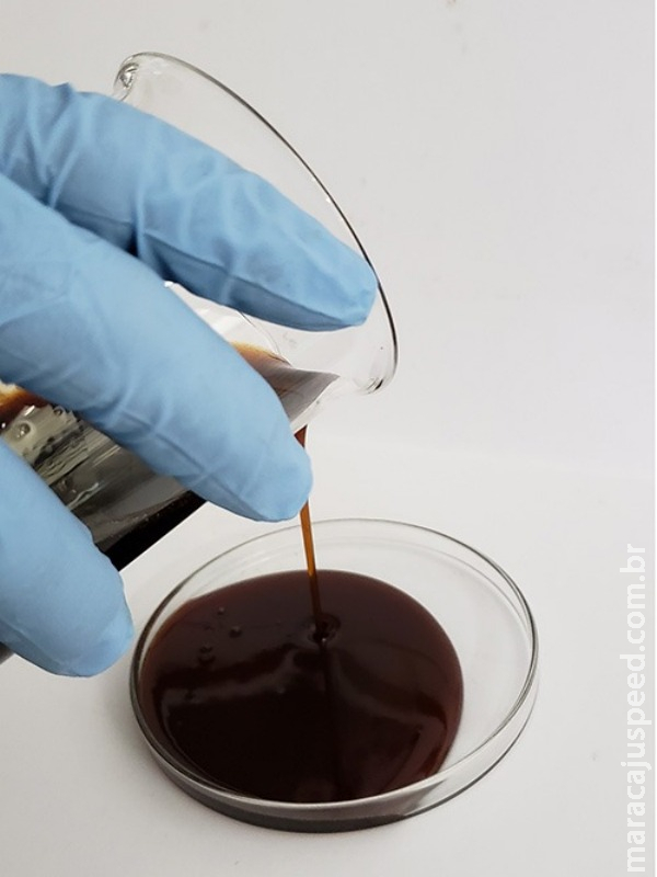 Pesquisadores extraem substância antimicrobiana da casca da castanha do caju Pesquisadores extraem substância antimicrobiana da casca da castanha do caju