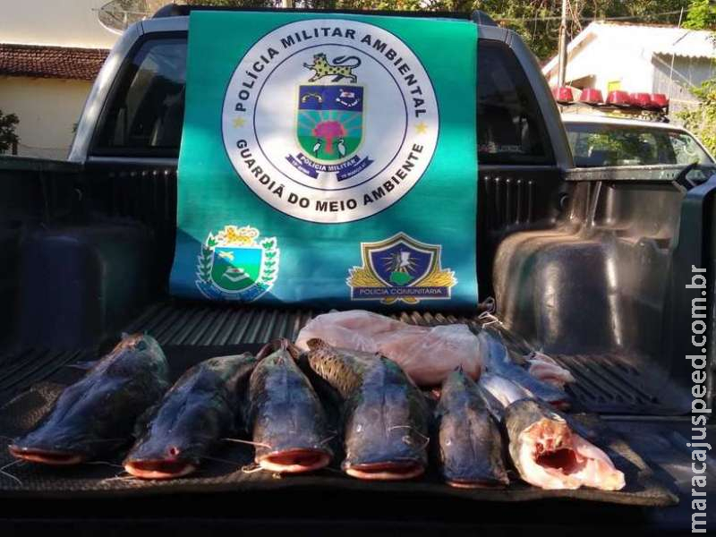 PMA prende e autua em R$ 2,5 mil infrator com pescado fora medida permitida PMA prende e autua em R$ 2,5 mil infrator com pescado fora medida permitida