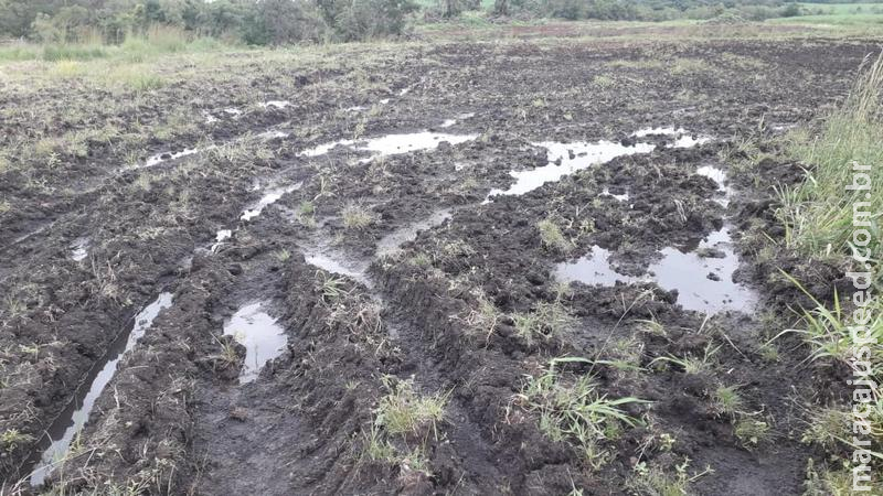 Polícia Militar Ambiental autua infrator em R$ 15 mil por destruir área brejosa com olhos d’água e desmatamento ilegal.