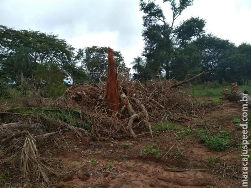 Polícia Militar Ambiental autua infrator em R$ 6,3 mil por desmatamento ilegal de 21 hectares de vegetação nativa Polícia Militar Ambiental autua infrator em R$ 6,3 mil por desmatamento ilegal de 21 hectares de vegetação nativa