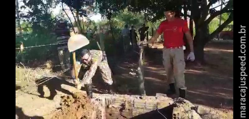 Polícia Militar Ambiental, Bombeiros e CRAS resgatam anta de dentro de uma fossa