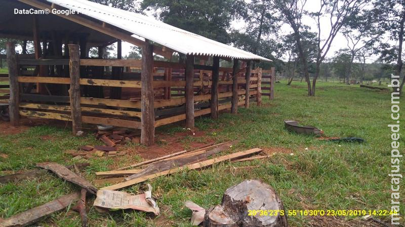 Polícia Militar Ambiental de Campo Grande autua assentado em R$ 2 mil por derrubada ilegal de árvores nativas para exploração da madeira