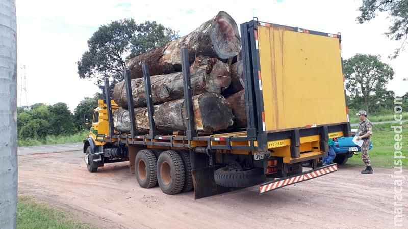 Polícia Militar Ambiental de Campo Grande autua madeireira em R$ 7,5 mil e apreende caminhão com carga ilegal de 25 m³ de madeira em toras