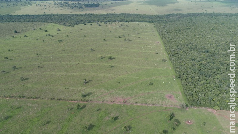 Polícia Militar Ambiental de Coxim autua 3º infrator em R$ 79 mil por desmatamento ilegal durante a operação Cervo-do-Pantanal