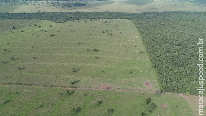 Polícia Militar Ambiental de Coxim autua 3º infrator em R$ 79 mil por desmatamento ilegal durante a operação Cervo-do-Pantanal Polícia Militar Ambiental de Coxim autua 3º infrator em R$ 79 mil por desmatamento ilegal durante a operação Cervo-do-Pantanal