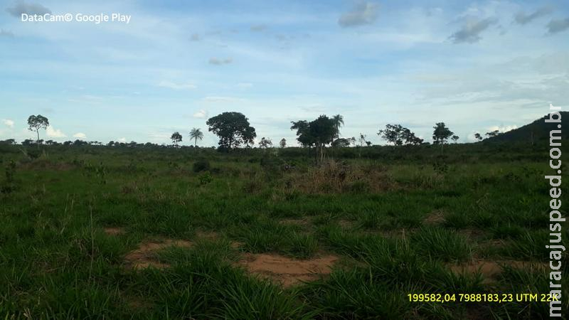 Polícia Militar Ambiental de Coxim autua infrator de 45 anos em R$ 9 mil por desmatamento de 30 hectares de vegetação descobertos por imagens de satélites
