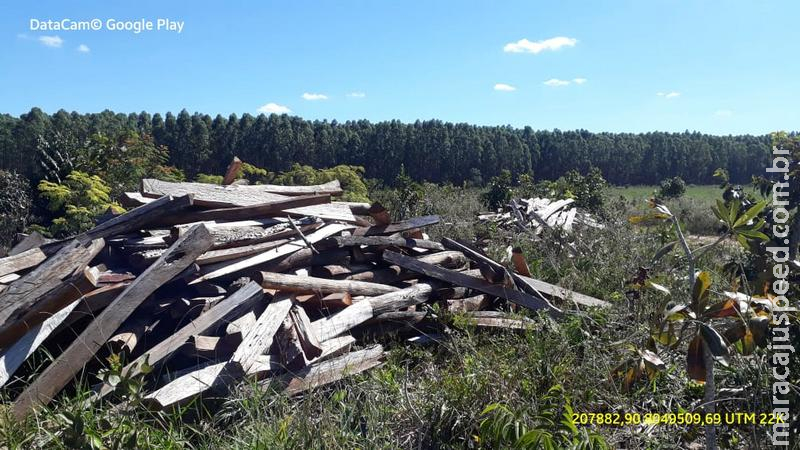 Polícia Militar Ambiental de Coxim autua infrator em R$ 371 mil por desmatamento de 365 hectares de vegetação nativa, exploração e queima ilegal de madeira Polícia Militar Ambiental de Coxim autua infrator em R$ 371 mil por desmatamento de 365 hectares de vegetação nativa, exploração e queima ilegal de madeira