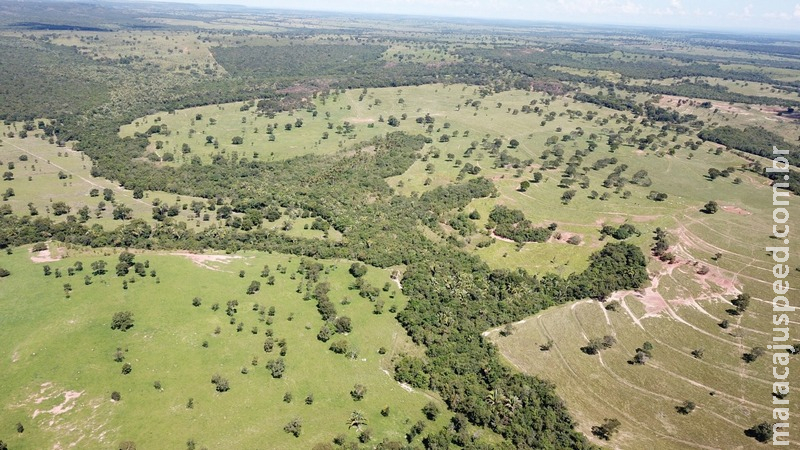 Polícia Militar Ambiental de Coxim autua infratora em R$ 19 mil por desmatamento de vegetação nativa para plantio de pastagem