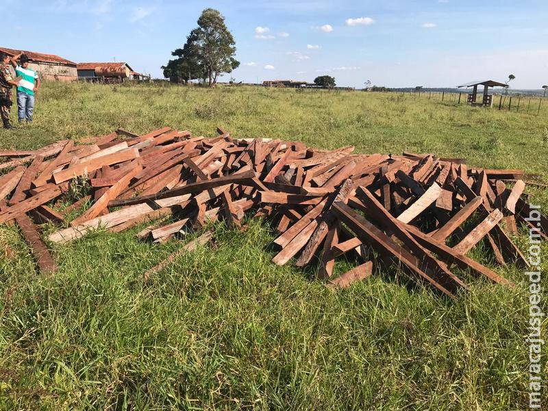 Polícia Militar Ambiental de Mundo Novo autua paranaense em R$ 12 mil por armazenamento de 40 m³ de madeira ilegal
